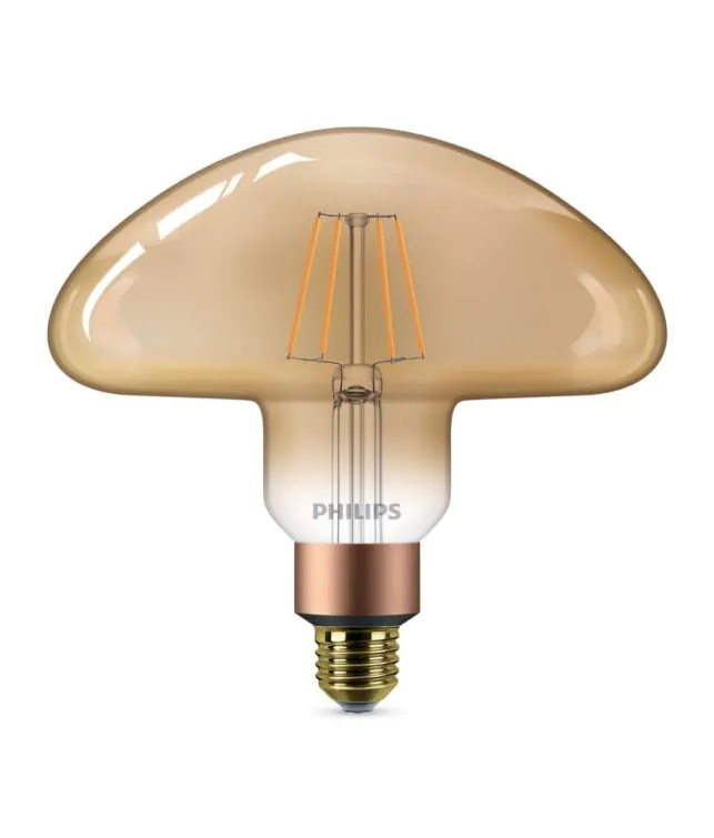 LED Special